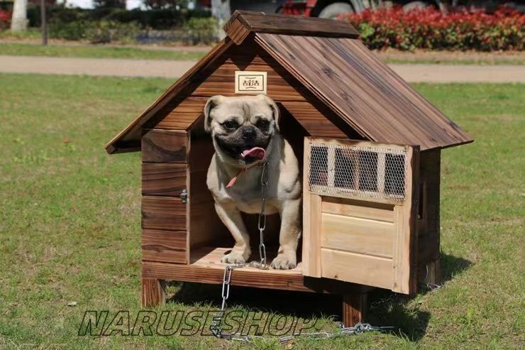 犬小屋 屋外用 犬舎 ドア付き ペットハウス グリーン 126-200 犬小屋 屋外