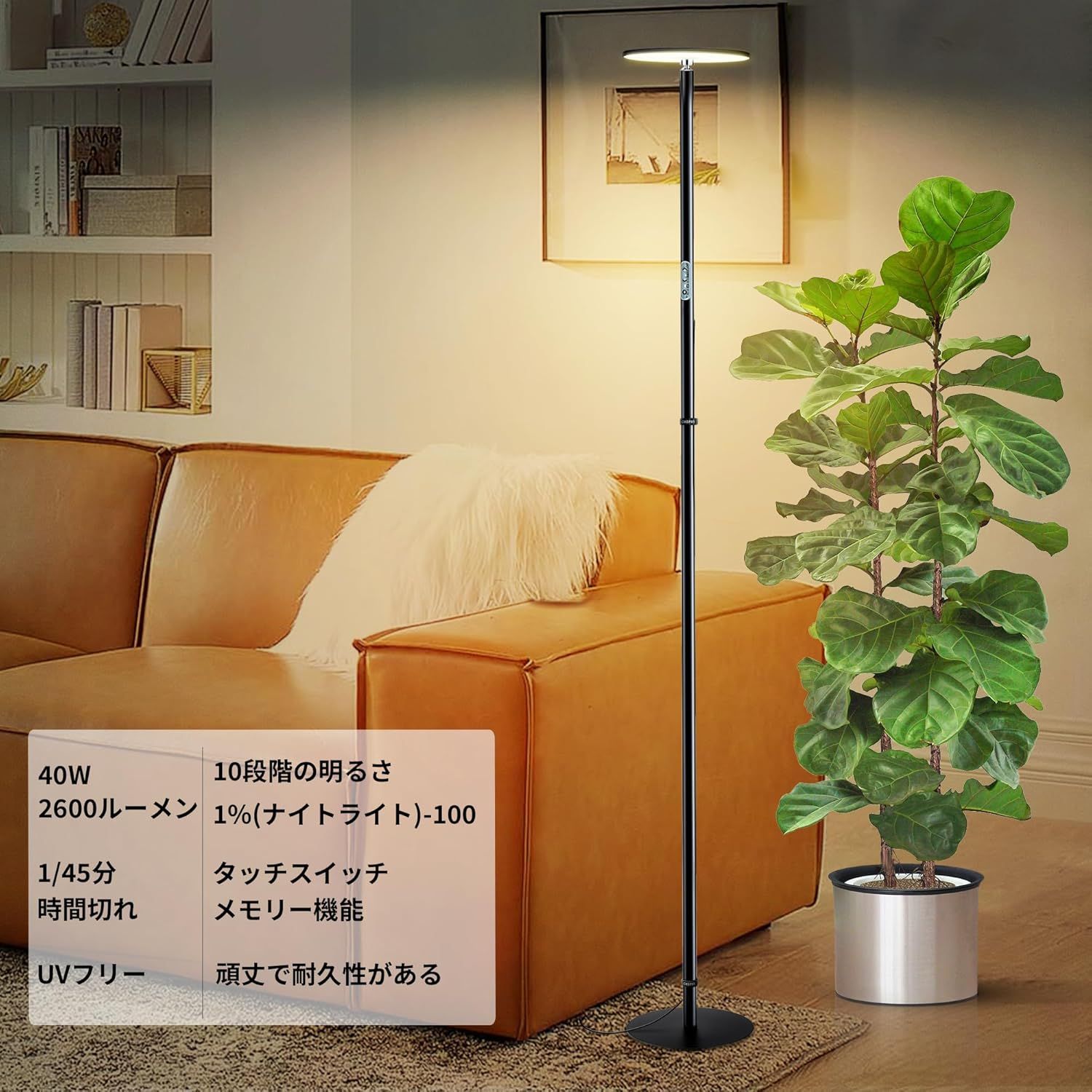 水生植物栽培
