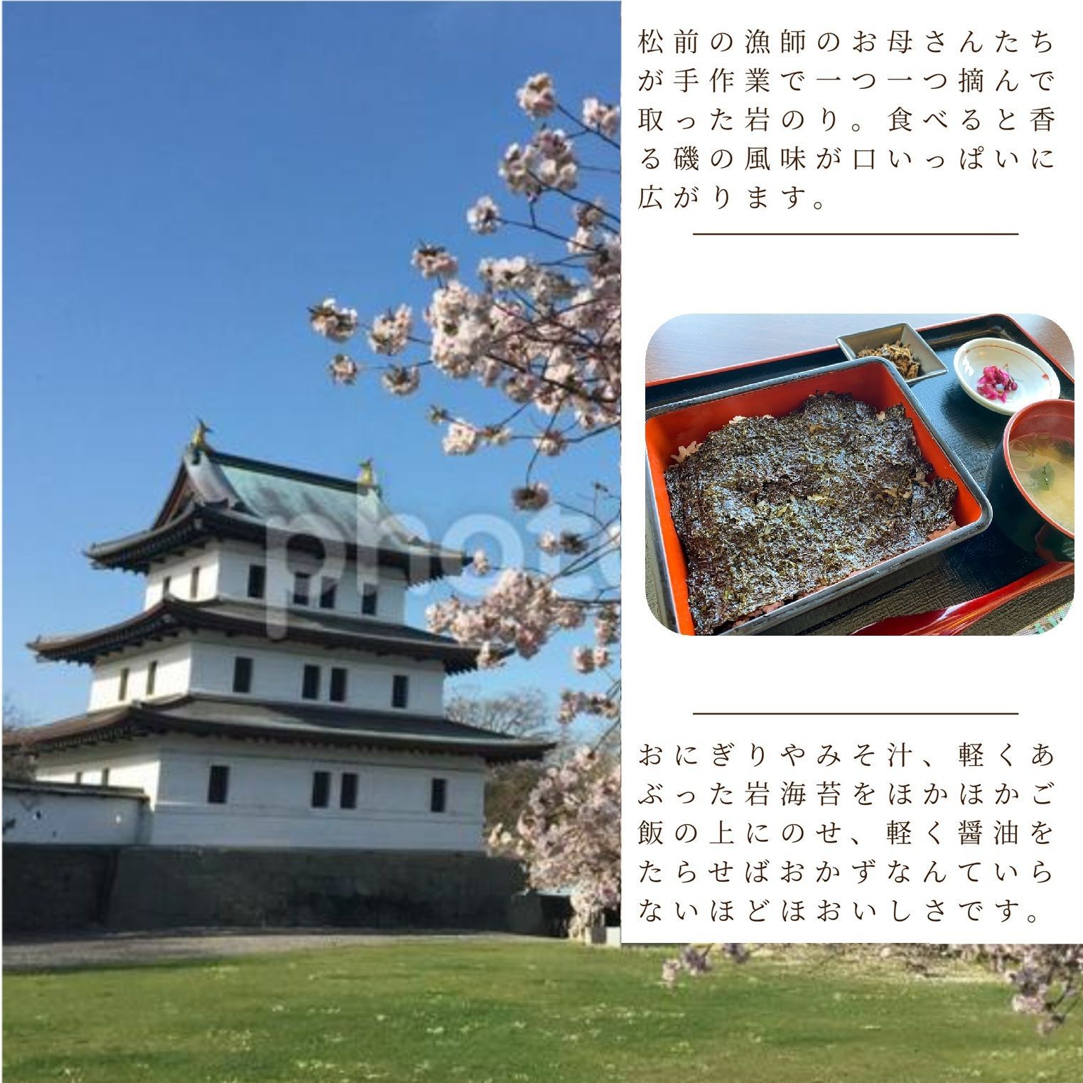 天然岩海苔