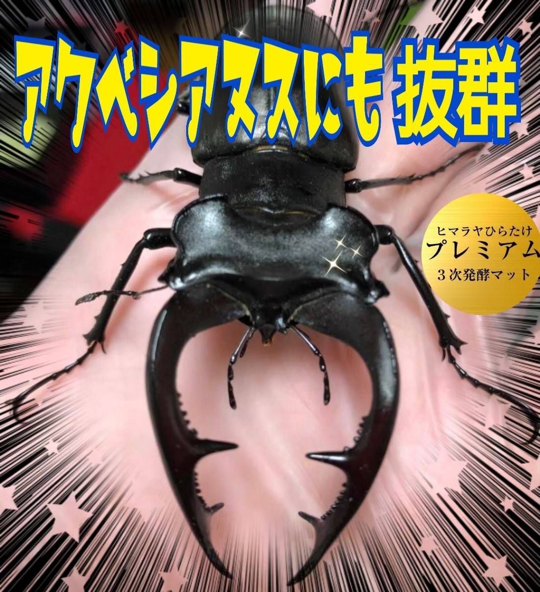 特殊アミノ酸