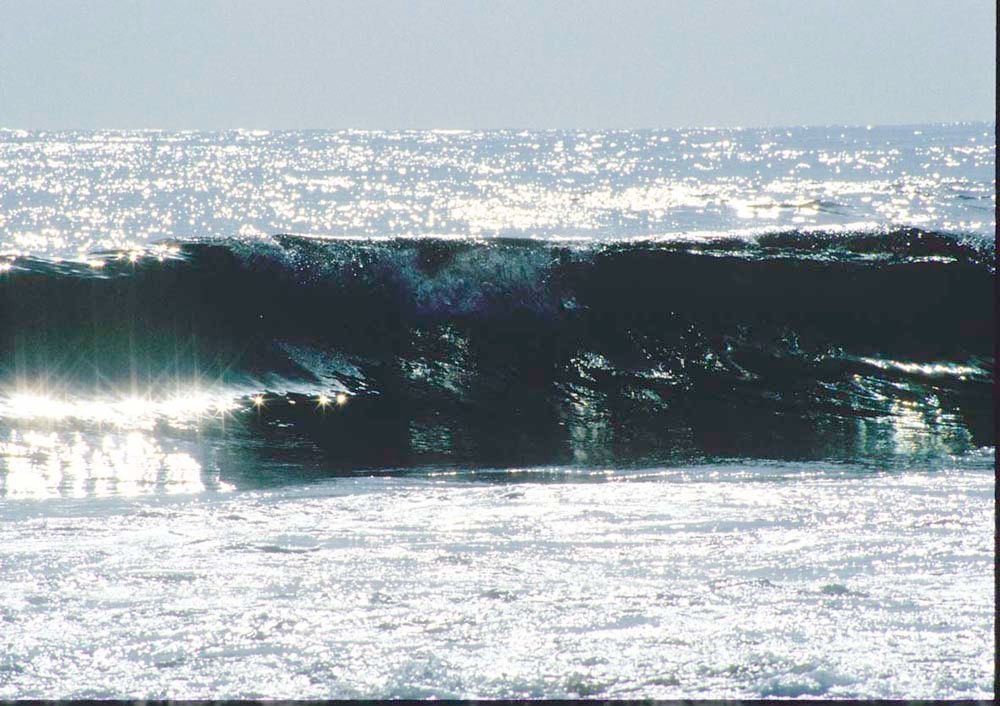 ★展示品！★   WAVE / 千倉の海　撮影者：村山ヒデカズ570X825mm