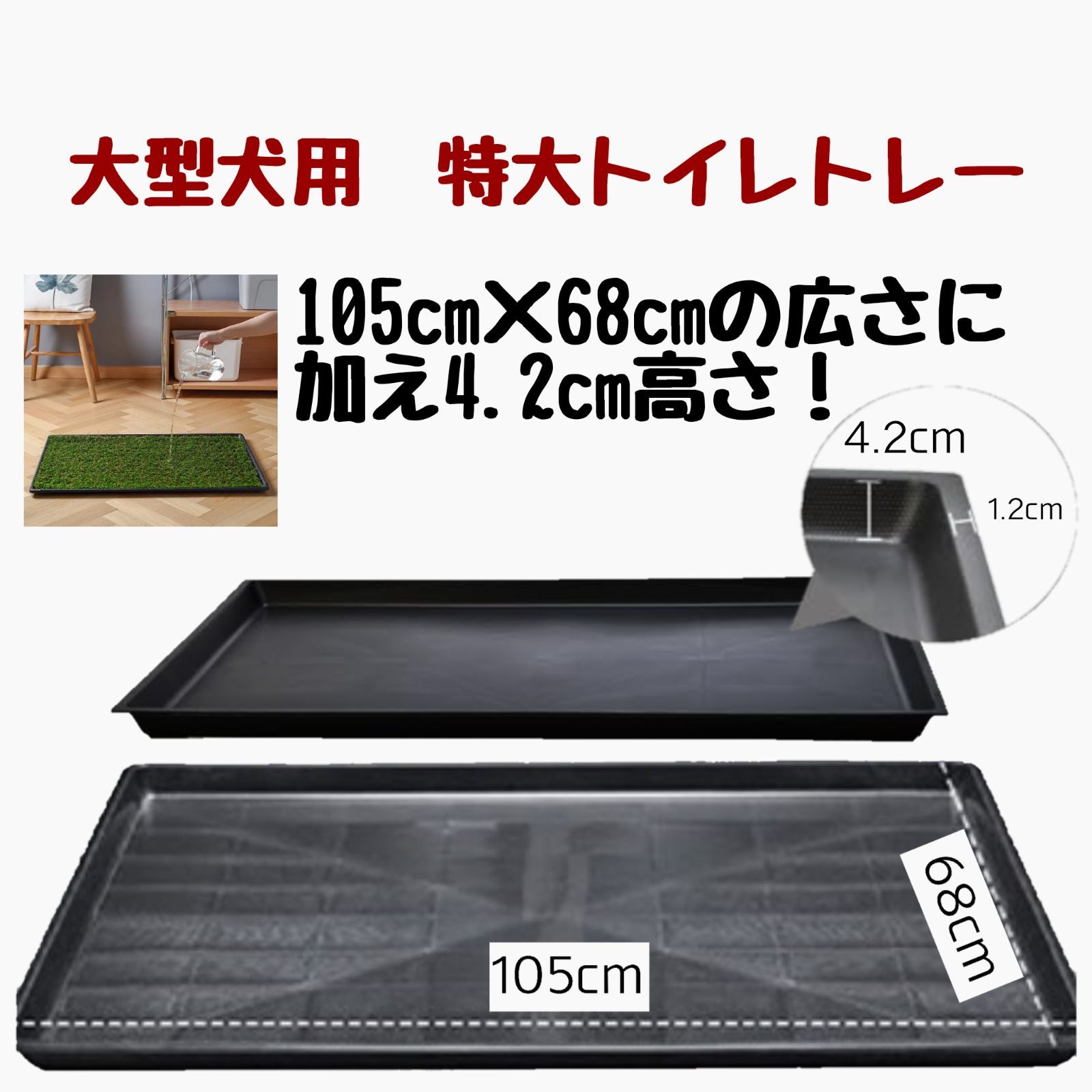 芝生