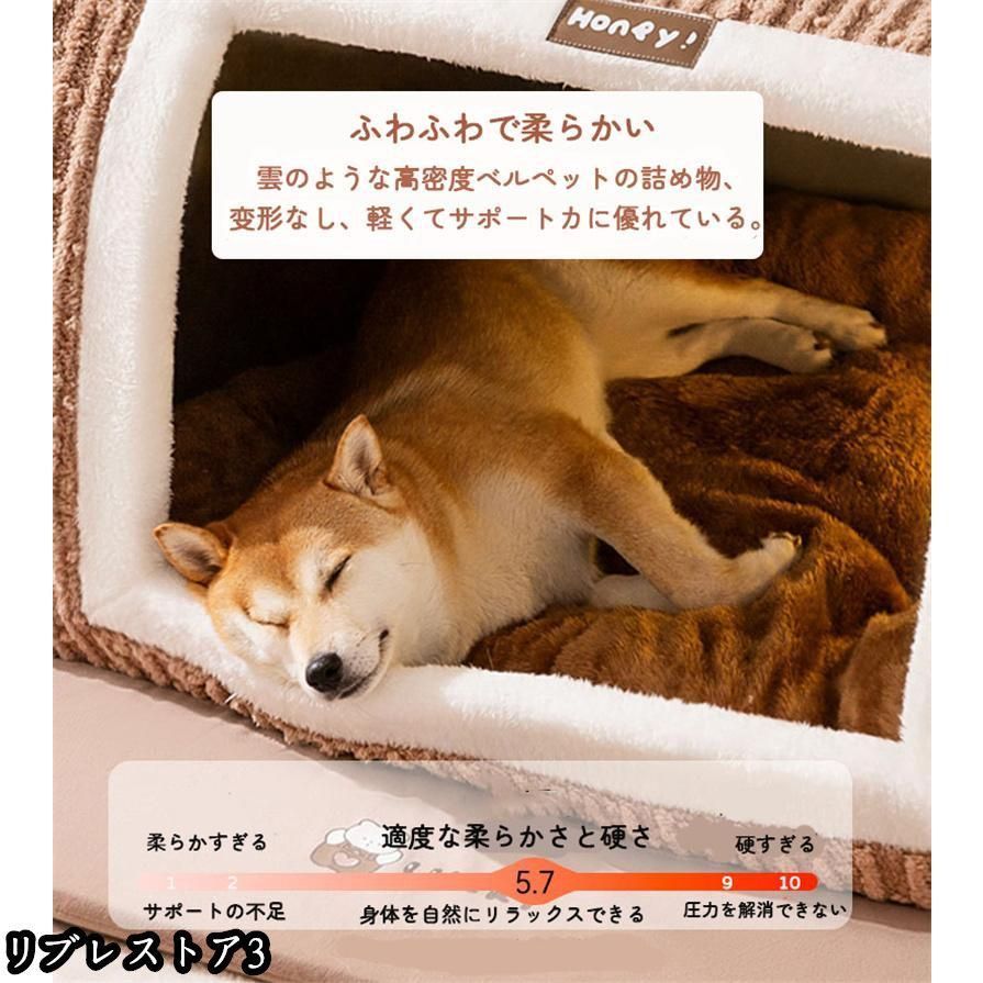 中型犬 滑らない