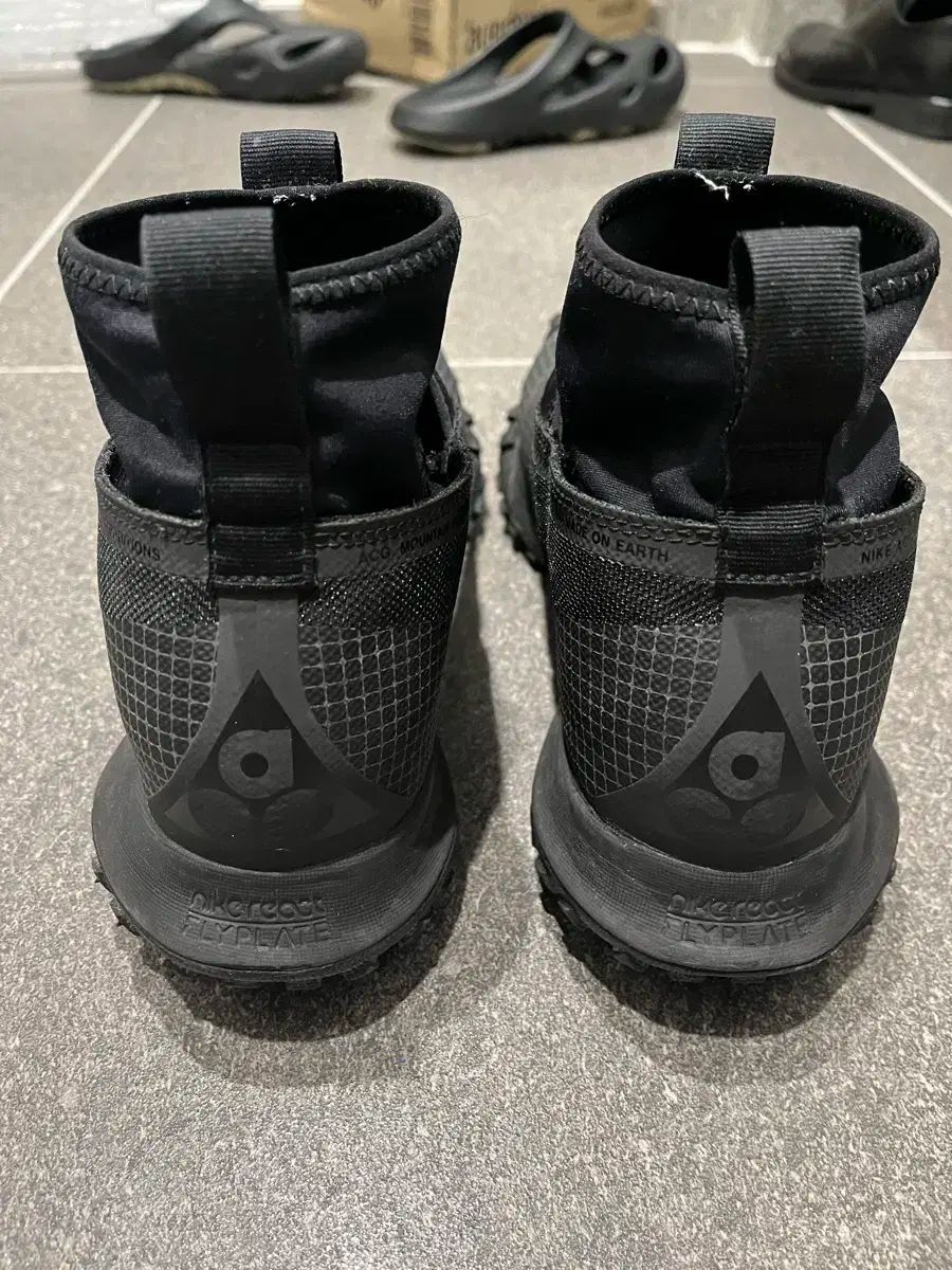 ACG