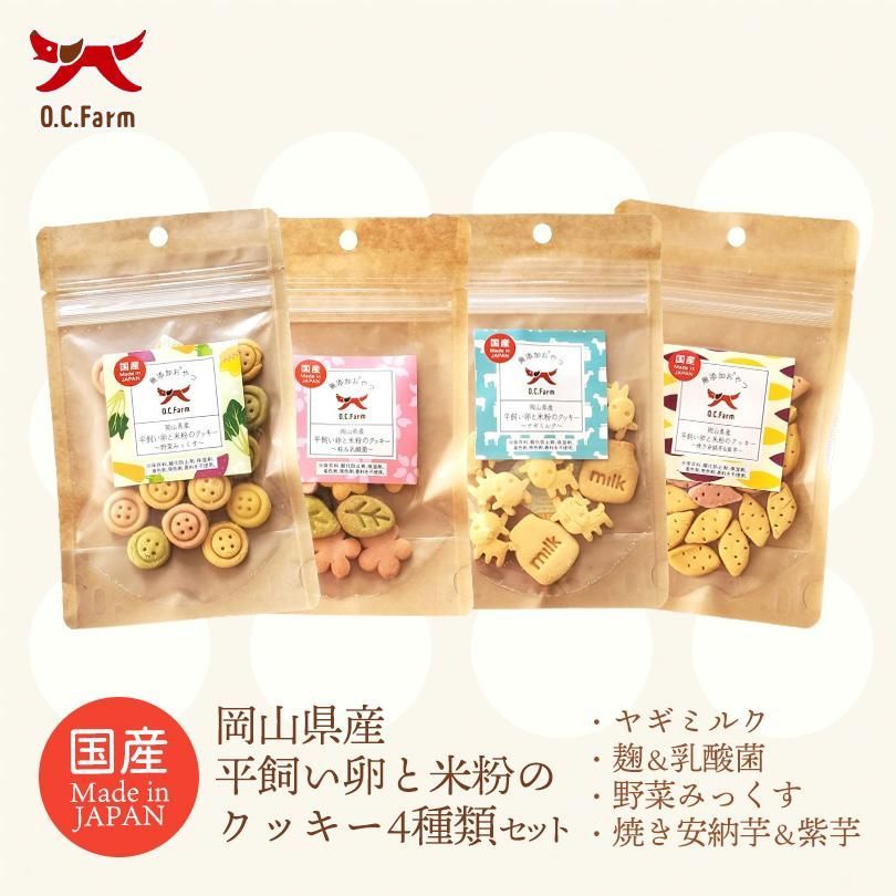 トップサン ディグダ ダグトリオ 裏青 連番 番号なし PSA 6&8