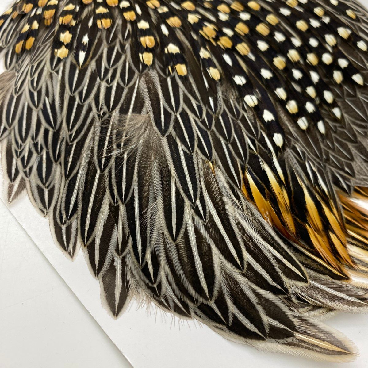 ショップ §§ Jungle Cock ジャングルコック フライマテリアル