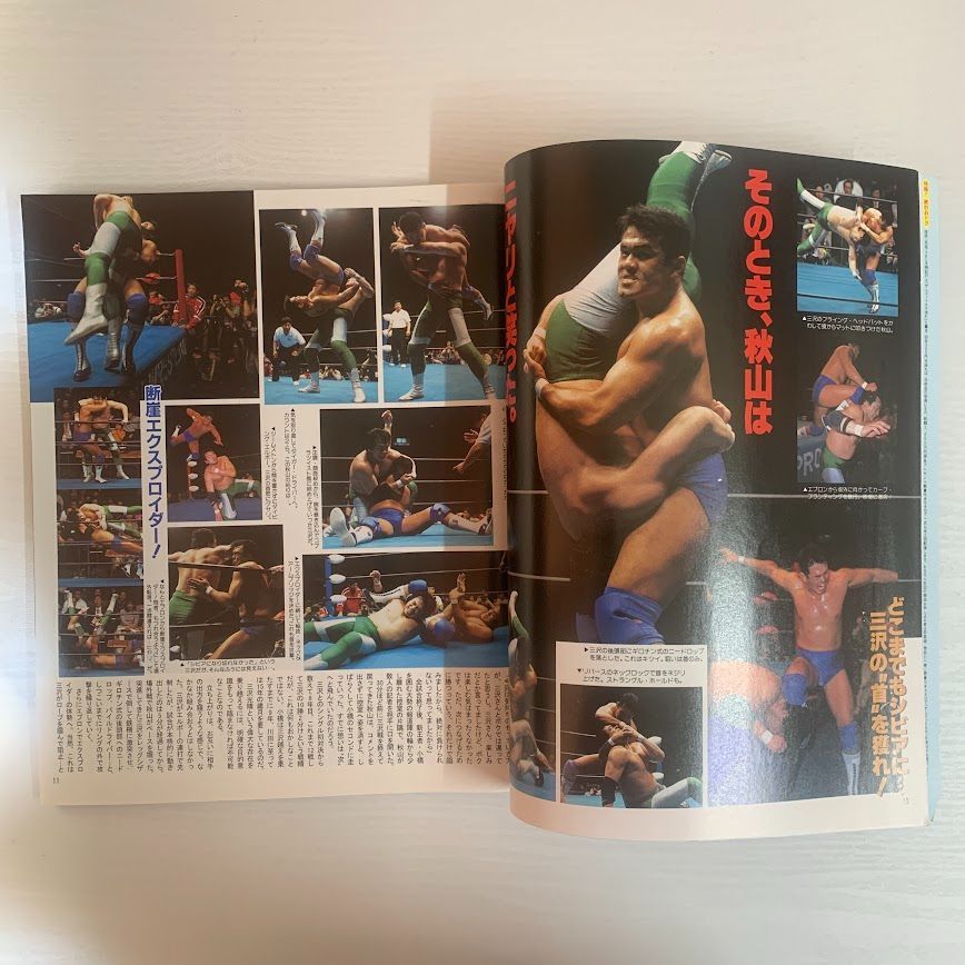 プロレス 週刊ゴング 8冊セット まとめ売り 古い雑誌 No.799