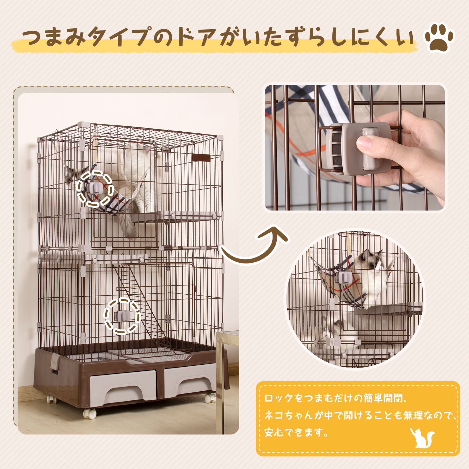 猫