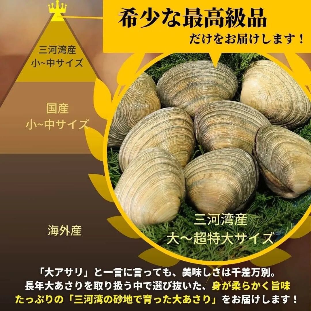 愛知産・天然特上大アサリ3kg＋専用だし醤油3本(300ml×3)セット（海鮮 BBQ バーベキュー）手洗い・半割・下処理済みであとは焼くだけ！CAS冷凍で新鮮そのもの