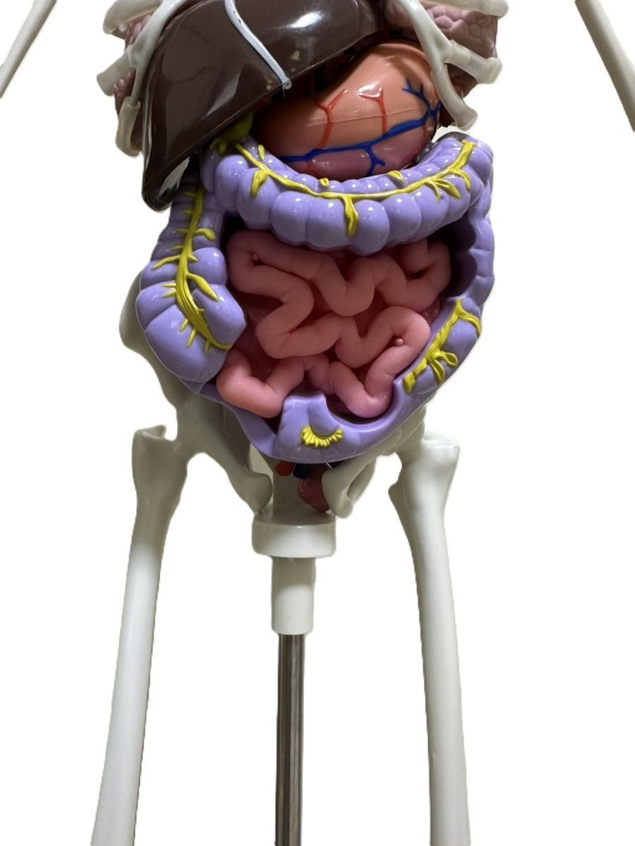 完全体 動作確認済 おしゃべりガイコツ ホネッキー ディアゴスティーニ