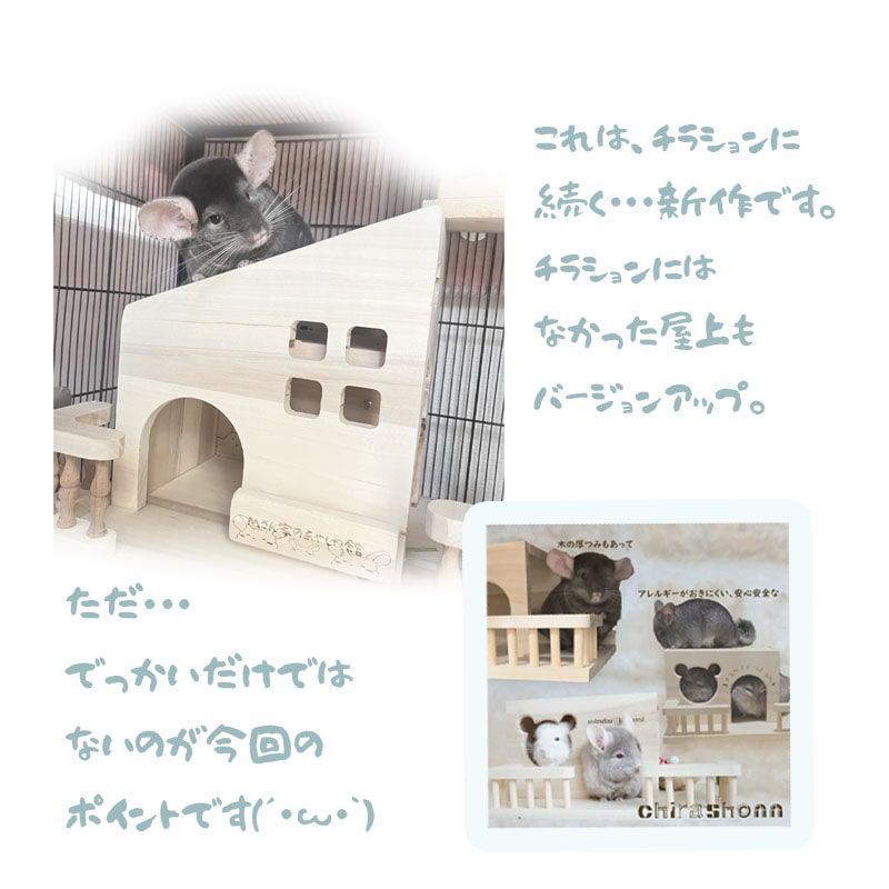 ビックハウス
