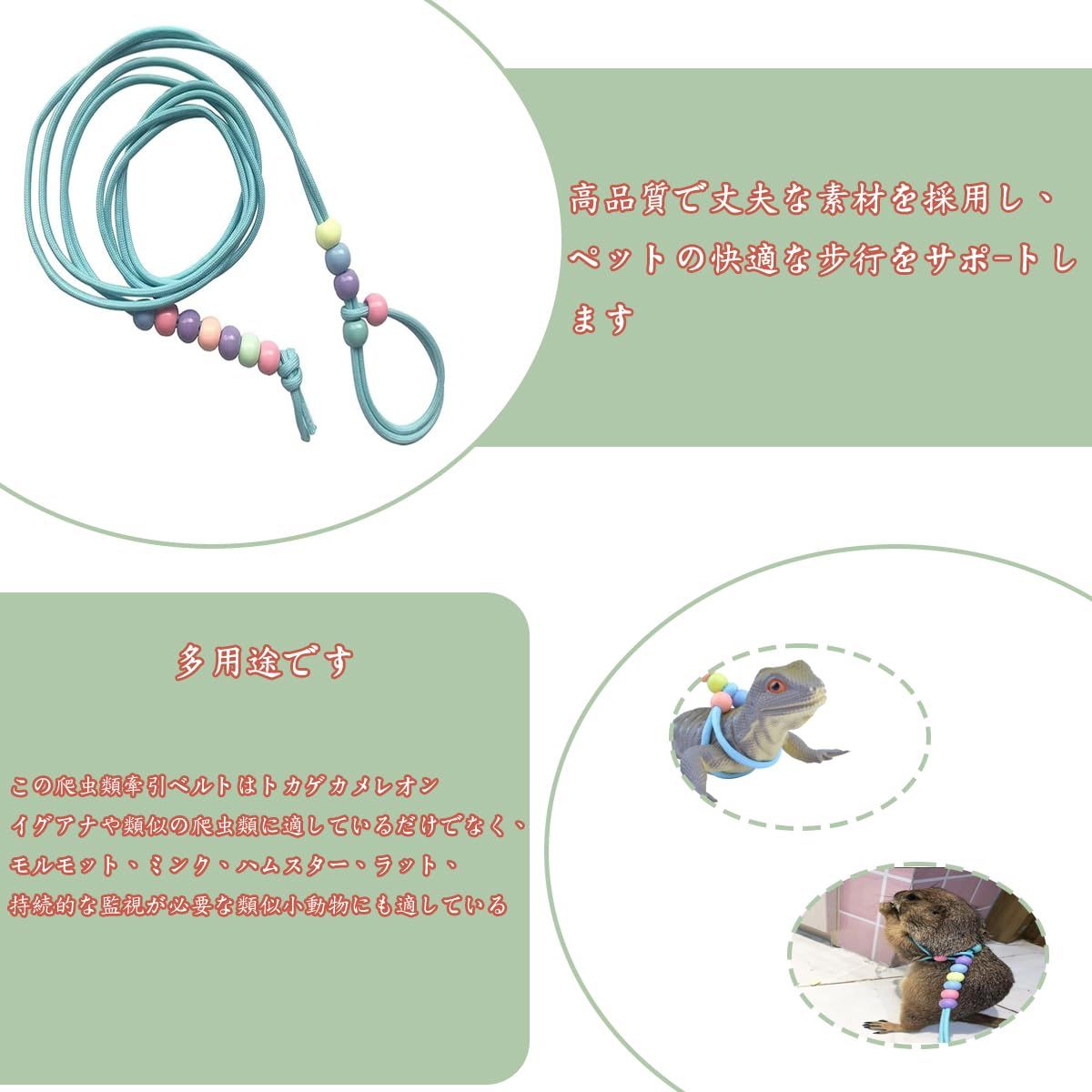 カゲのハーネスとリード