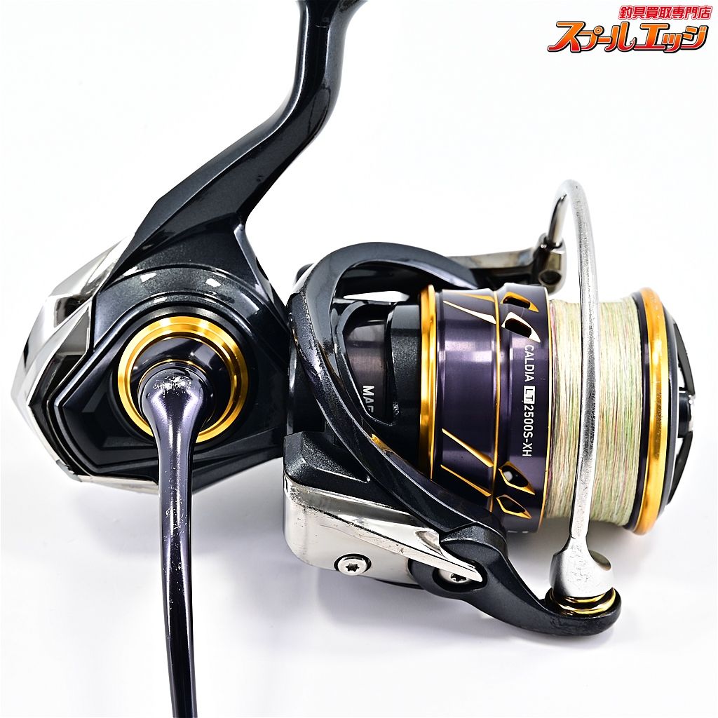 ★☆【ダイワ】 18カルディア LT2500S★☆ ☆ダイワ 18カルディア LT 2500S 現行未使用品 ダイワ２０１８年