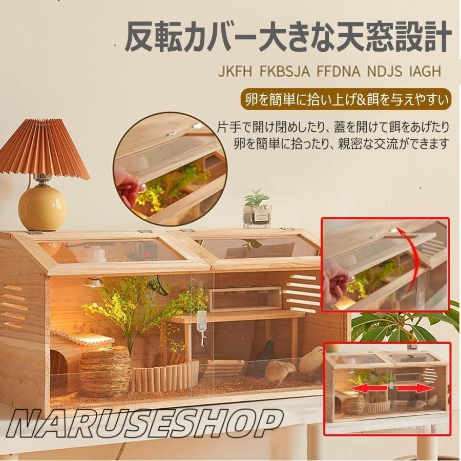 育雛