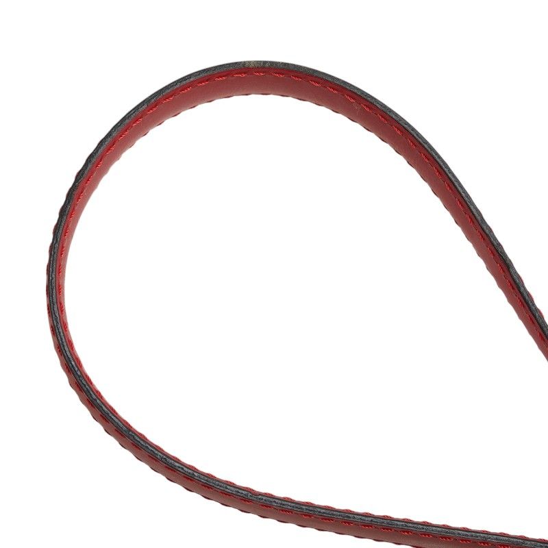 ルイ ヴィトン エピ クリュニー M52257 カスティリアンレッド レザー  