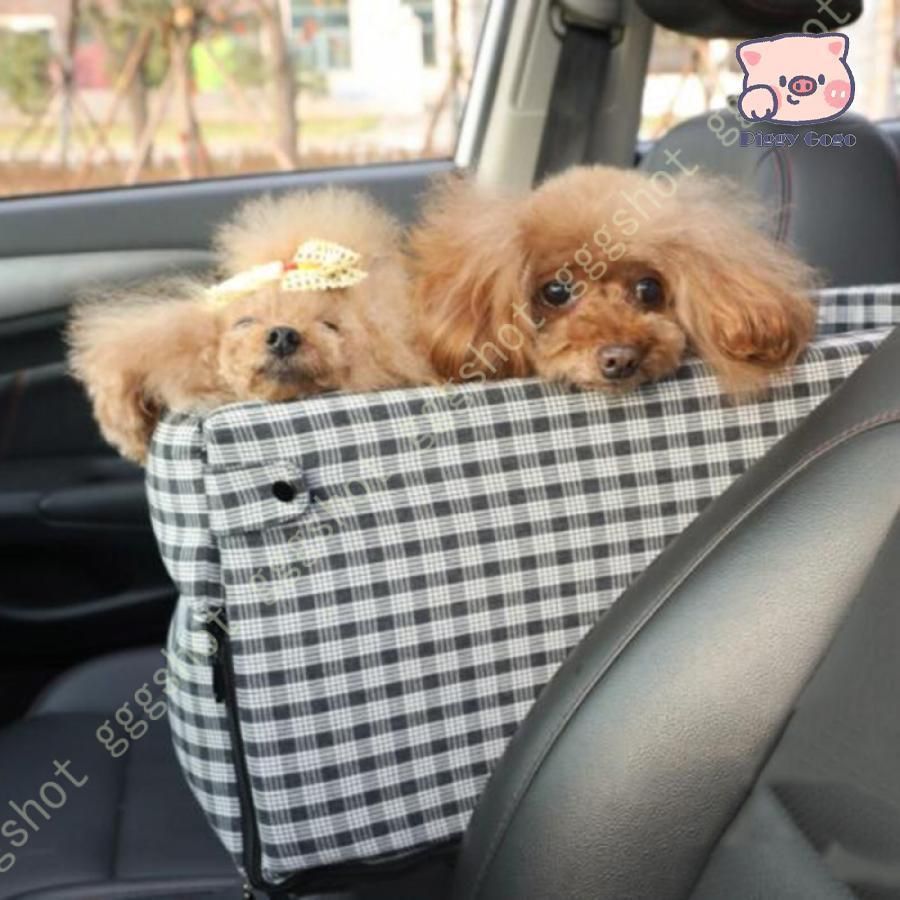 中型犬 犬