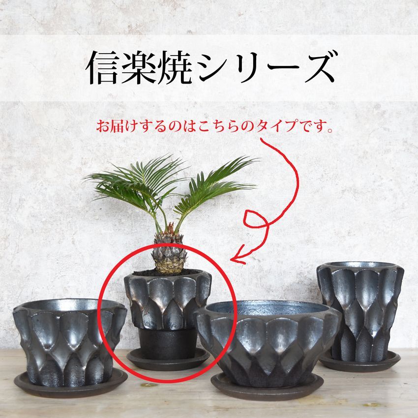 ⭐︎三連休値引き⭐︎小野瀬一　Soil Skill Design みやび鉢　セット売 小野瀬一 Soil Skill Design みやび鉢 セット売り 小野瀬一の植木鉢展