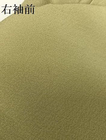 色無地 黄海松茶色