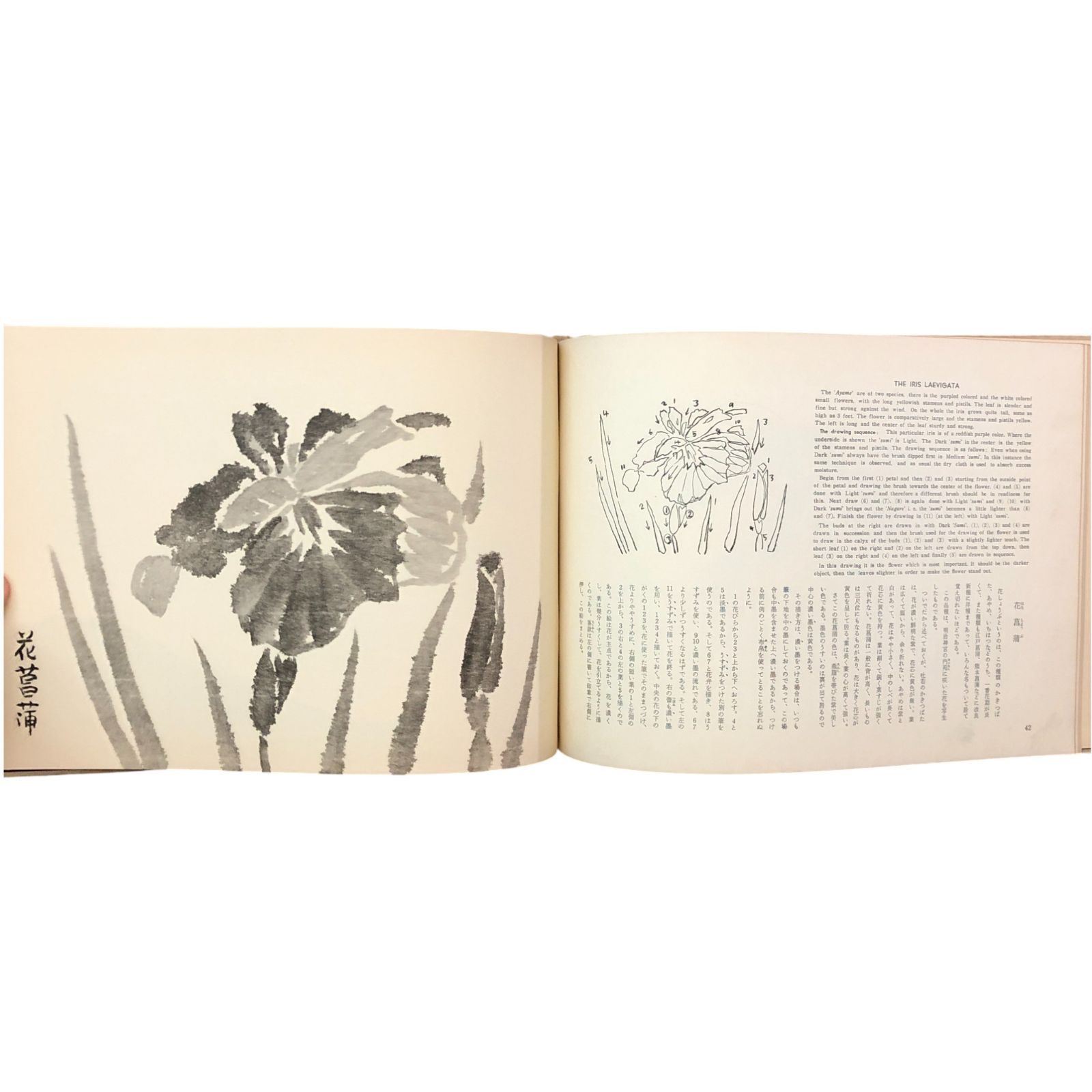 墨絵の描き方 渡辺聖空 鳳山社 1962年5月20日 第1版第2刷 ☆日本画