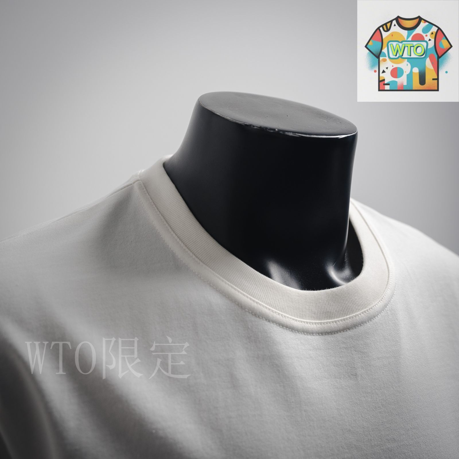 BOTTEGA VENETA マッチ刺繍 ピマコットンジャージー Tシャツ Japanese jersey T-shirt | Bottega Veneta | OTTODISANPIETRO
