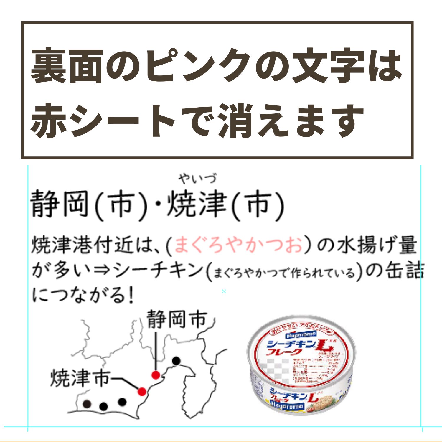 極める地理カード(地域別) 中学受験 暗記カード サピックス 予習 