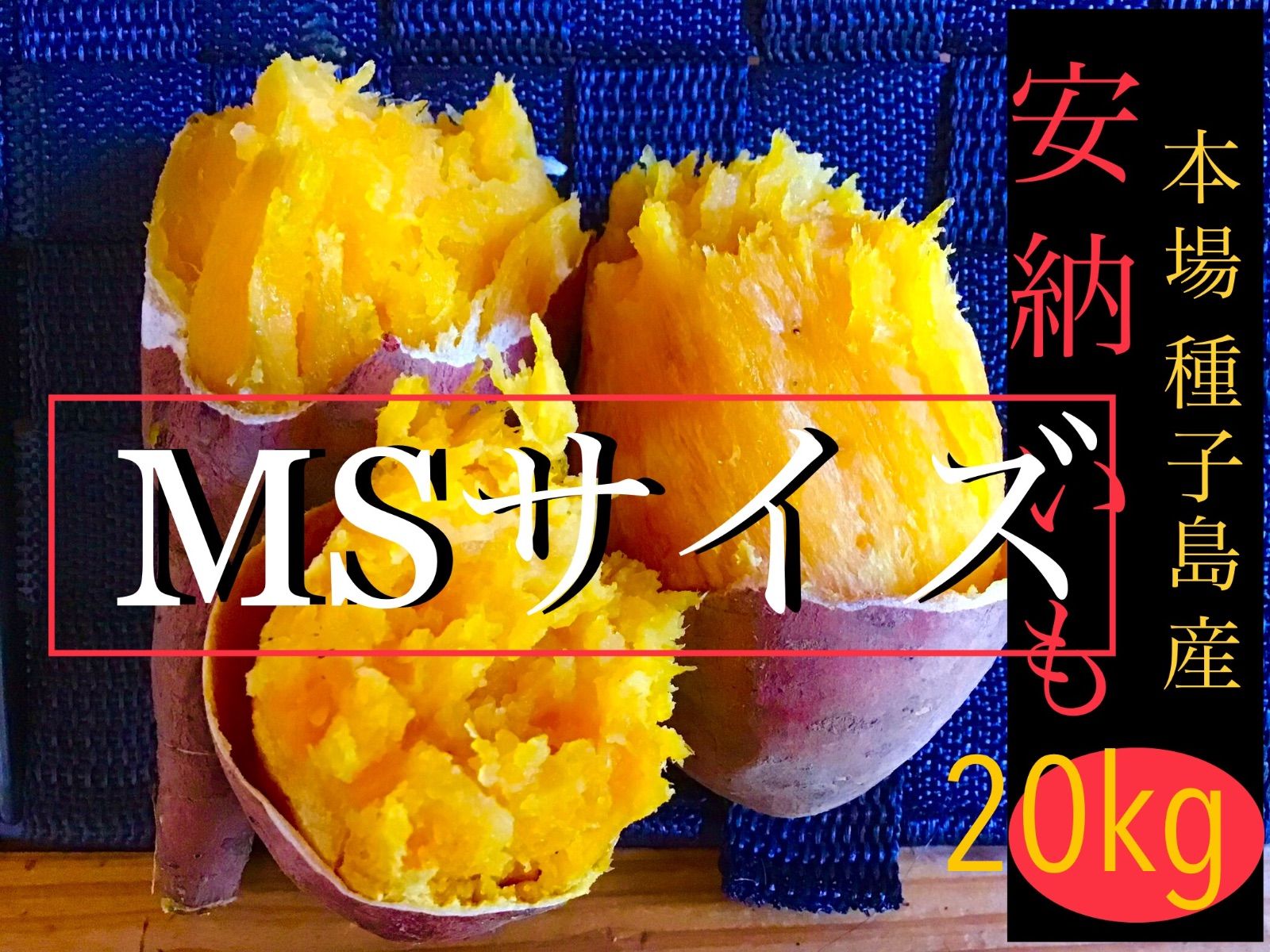 安納芋種子島産 MSサイズ20kg さつまいも 安納芋 紅7