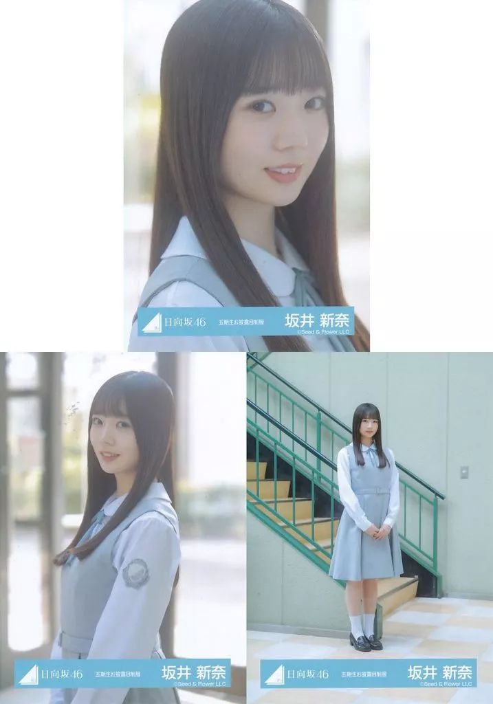 日向坂46 坂井新奈 直筆サイン入り生写真 日向坂46 坂井新奈 コンプ生写真 - メルカリ