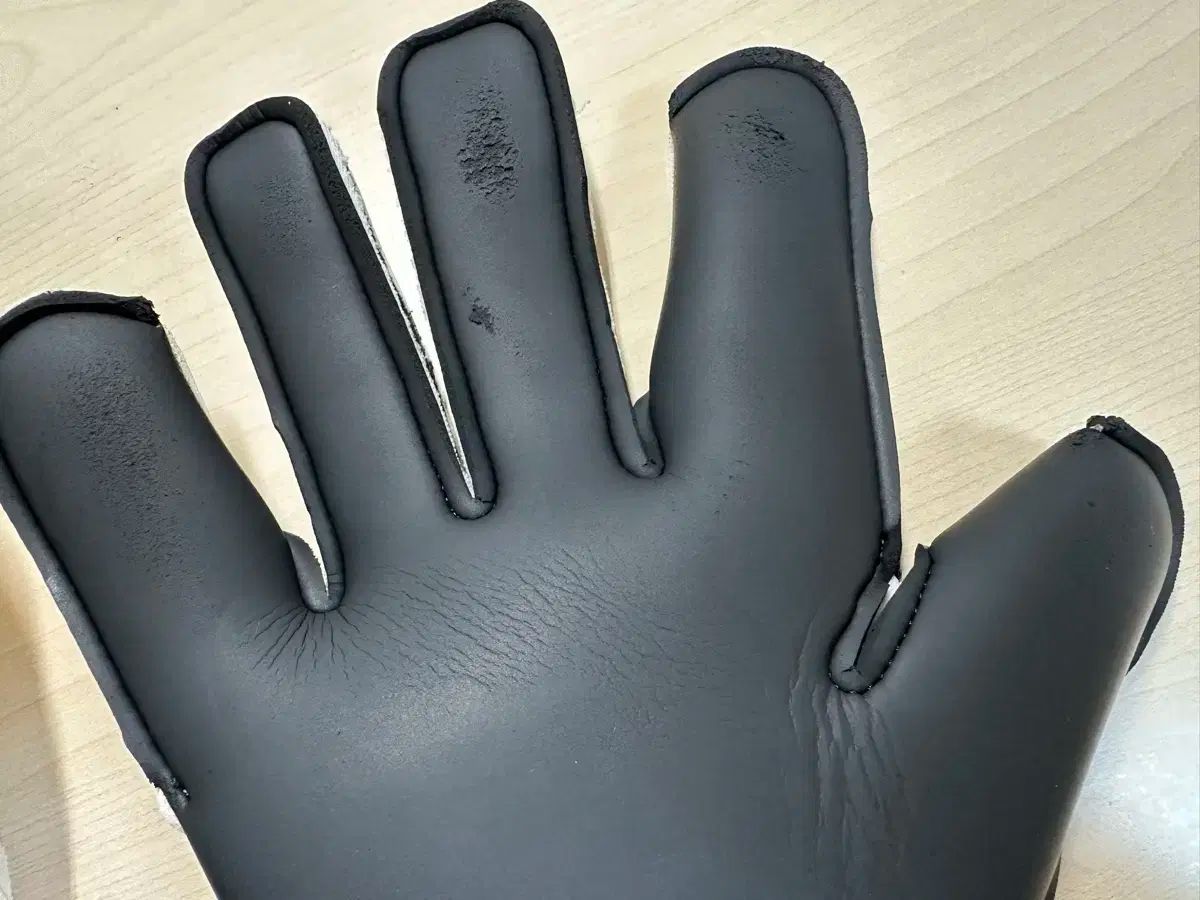 サブパラグラフ キーパーグローブ