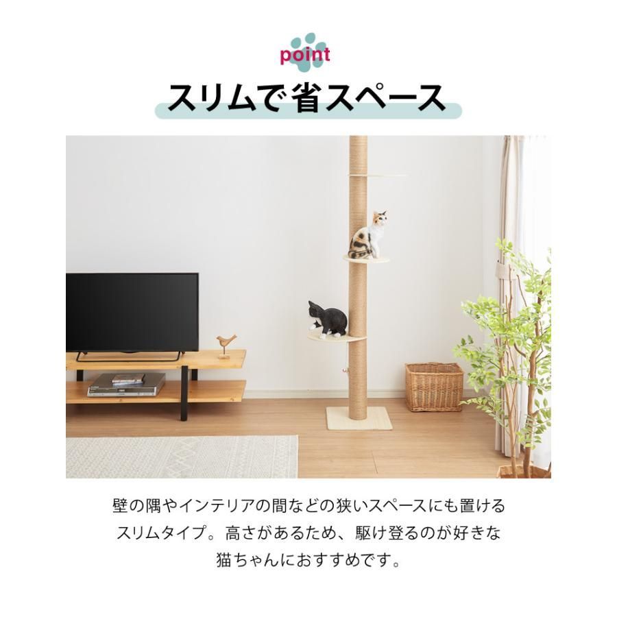 猫 ペット