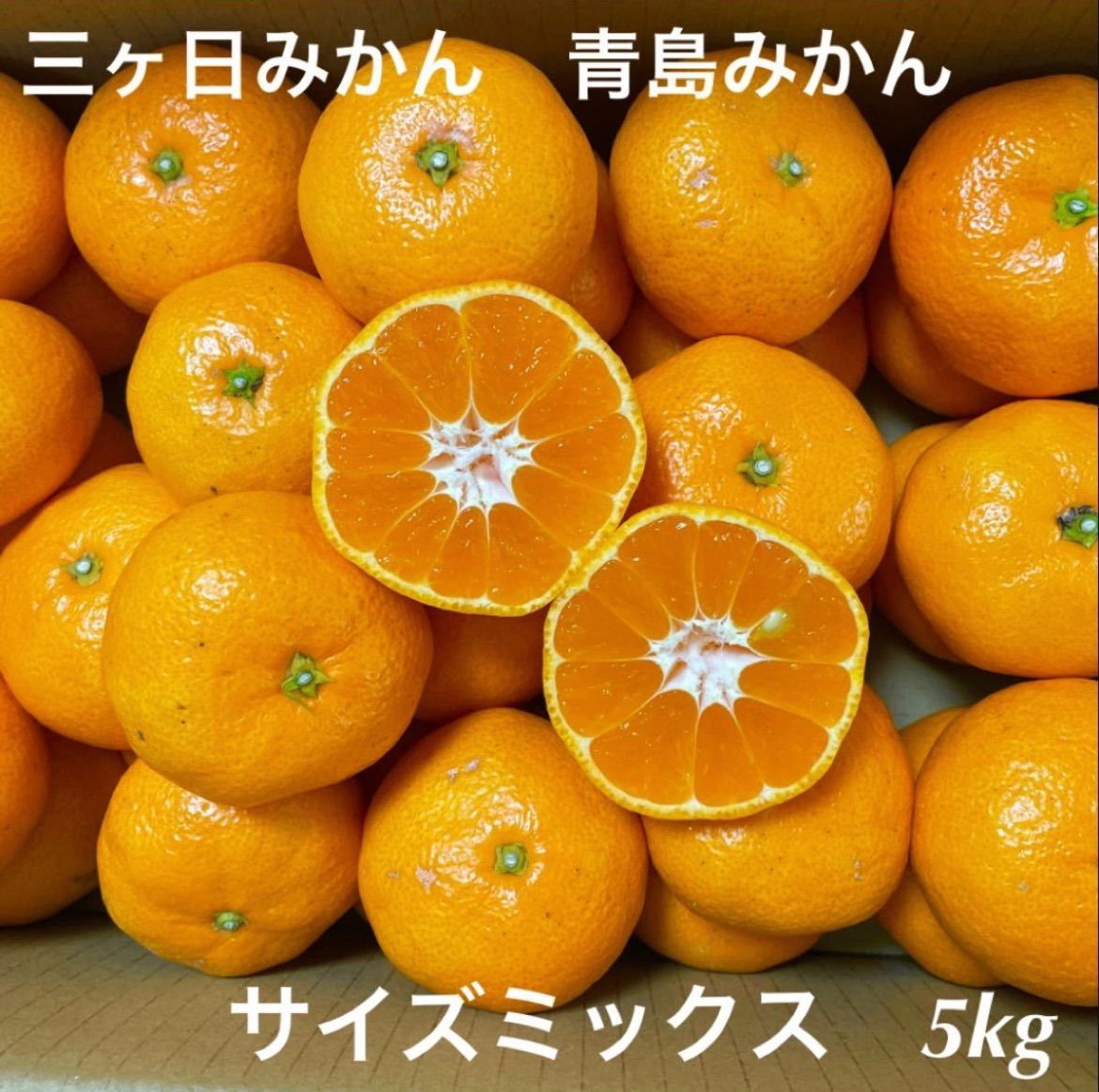 三ヶ日青島みかん Ｓサイズ ５kg - 果物