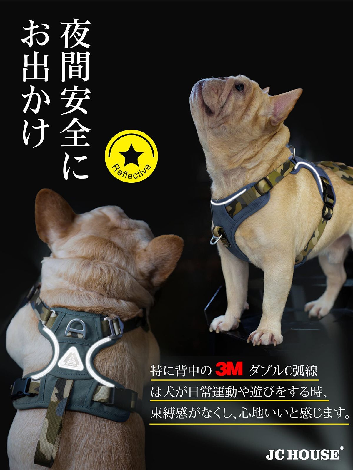 小型犬