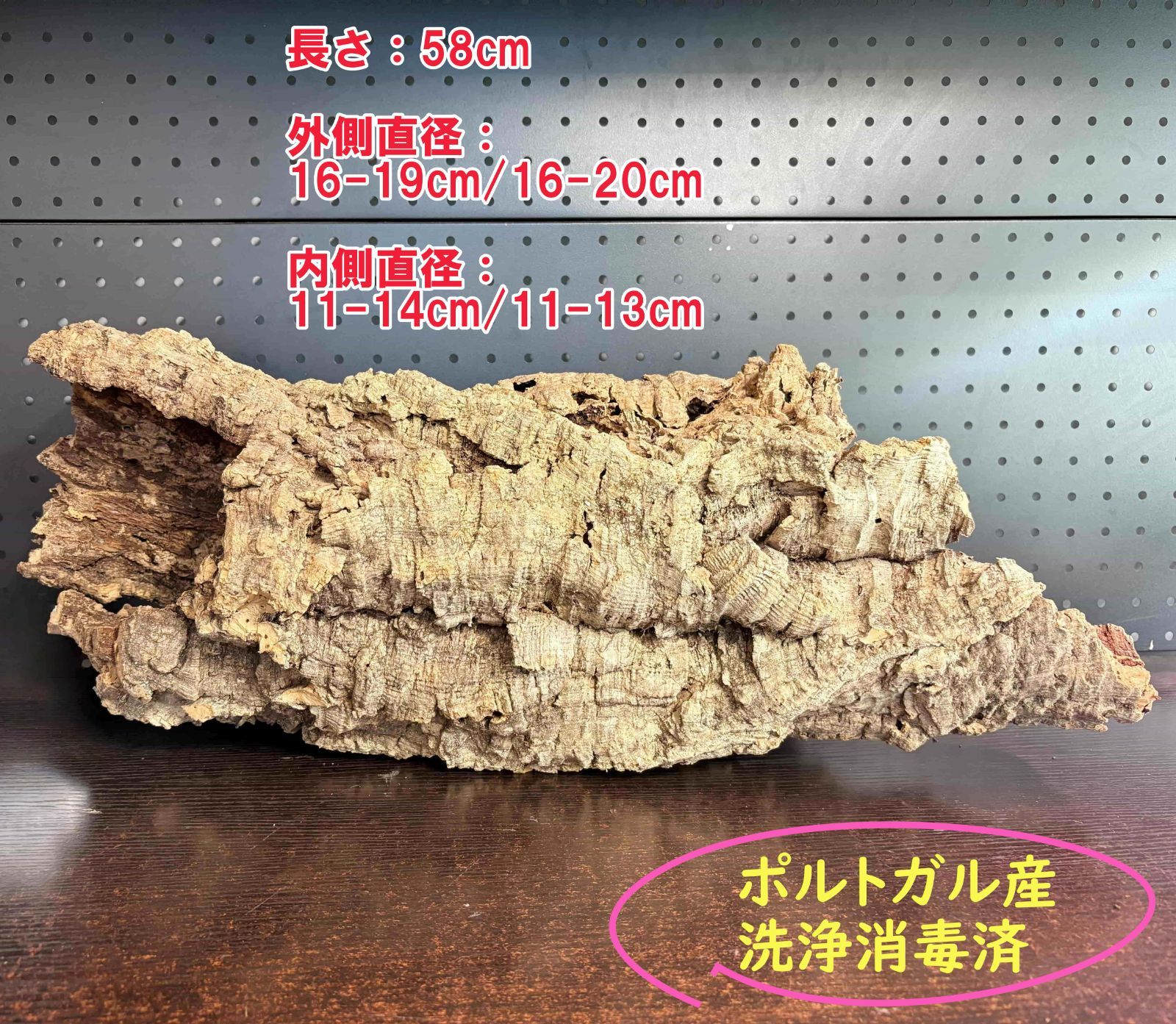 259S21 ポルトガル産 キャノンコルク コルク樹皮 コルク板 バージンコルク 送料無料 チランジア ビカクシダ 着生ラン 両生類 爬虫類