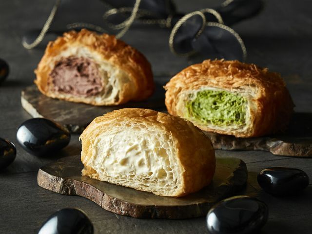 アガベ　チタノタ　クリスマス特価　 最終値下げ　　希少　MS-WV子株 アガベ チタノタ クリスマス特価 最終値下げ 希少 MS-WV子株