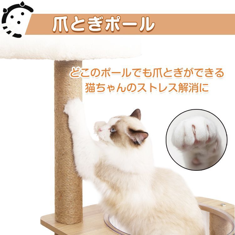 透明