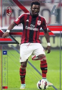 パニーニフットボールリーグ PFL カード まとめ売り 引退 パニーニフットボールリーグ引退品 55枚 - メルカリ