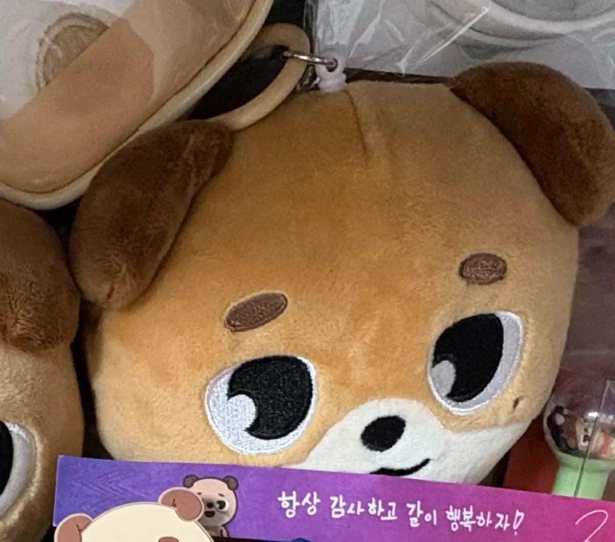 DAY6 ドウン デニマルズ DON DENIMALZ プチマルズ Amazon.co.jp: DAY6.韓国限定.デニマルズ.プチ.ドウン.DON