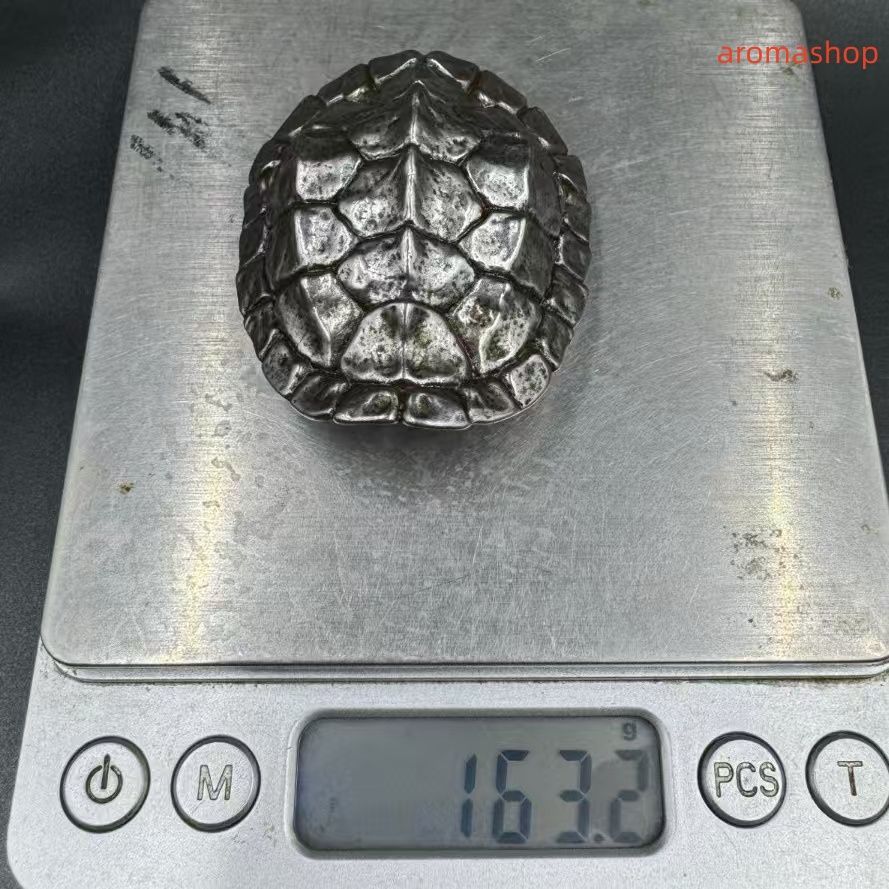 隕鐵 清代 旧蔵 チベット古寺 天鉄-隕石鉄 河図洛書・亀の甲羅