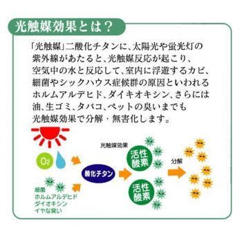 マグネットタイプ