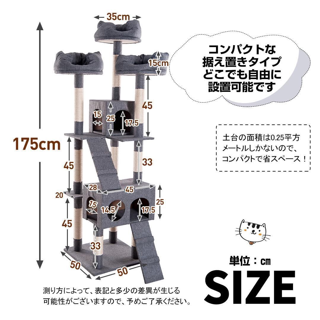 多頭大型猫
