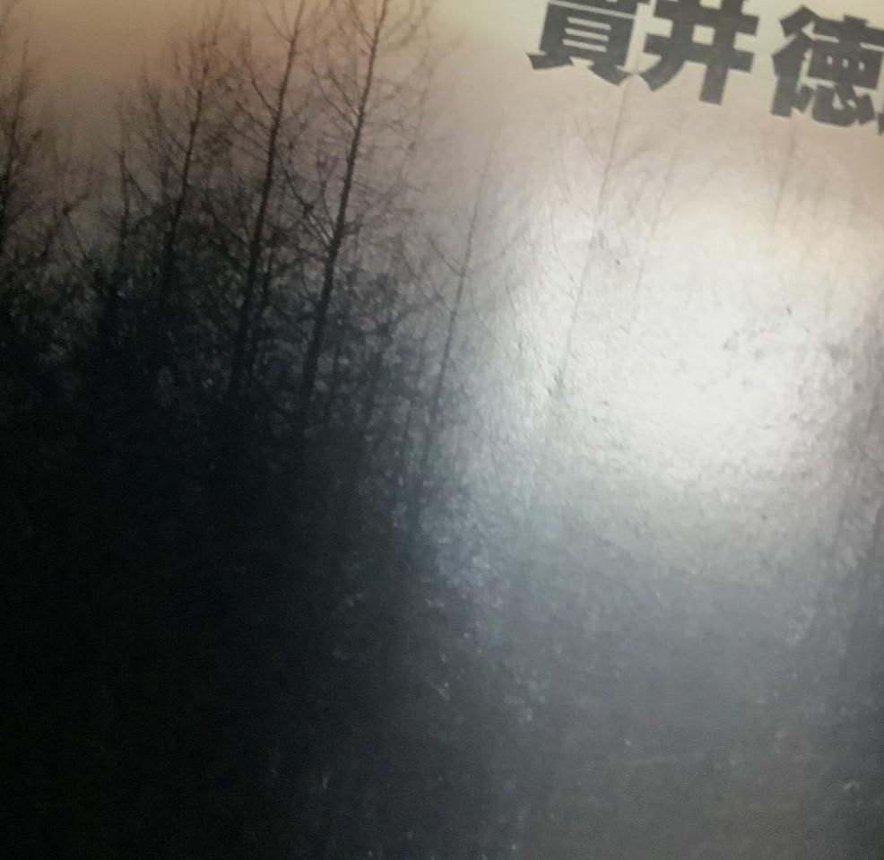 【中古】 貫井徳郎症候群/宝島社/貫井徳郎 Amazon.co.jp: 貫井徳郎症候群 (宝島社文庫) : 貫井 徳郎: 本