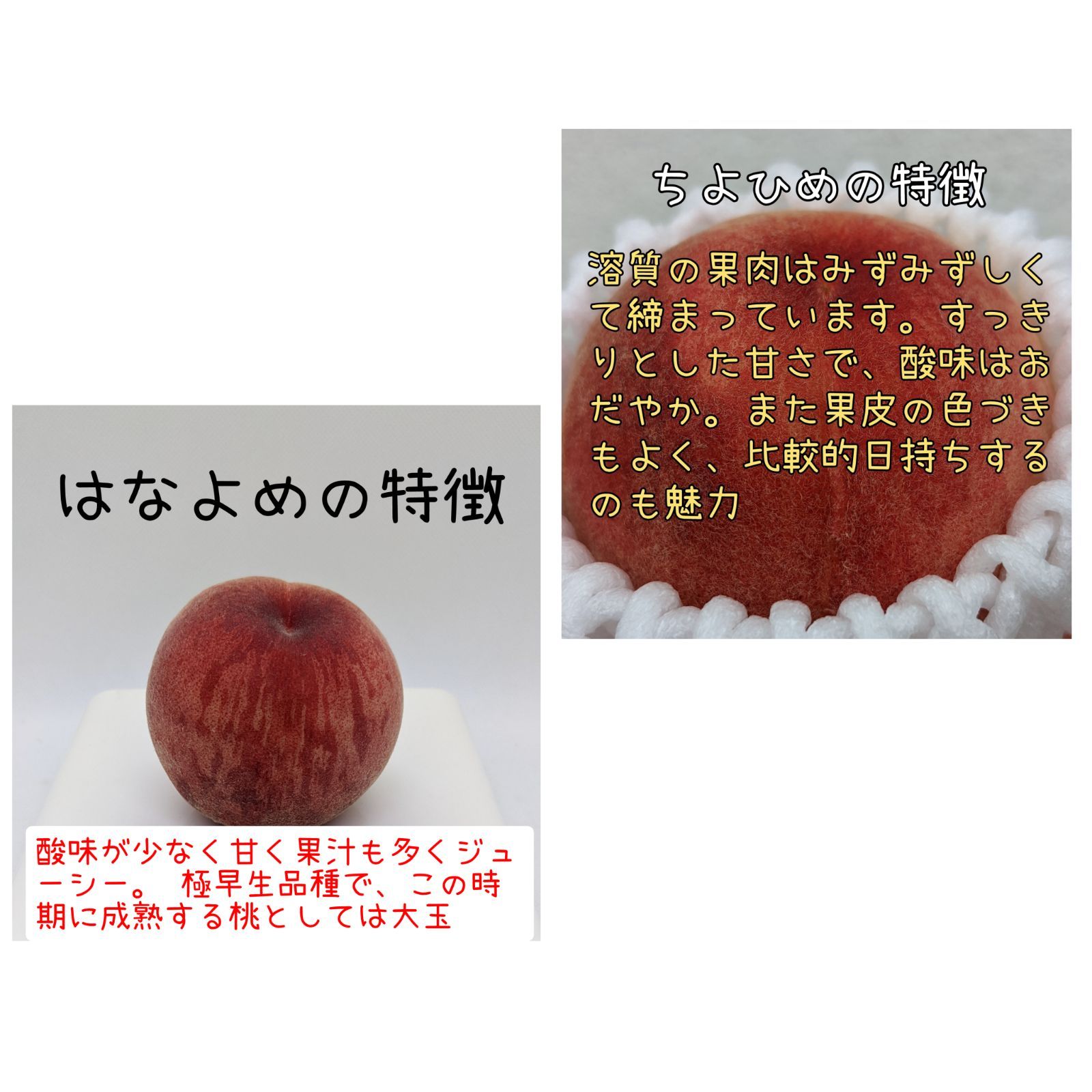 日本限定モデル】 硬い桃 1kg 1kg=4-6個
