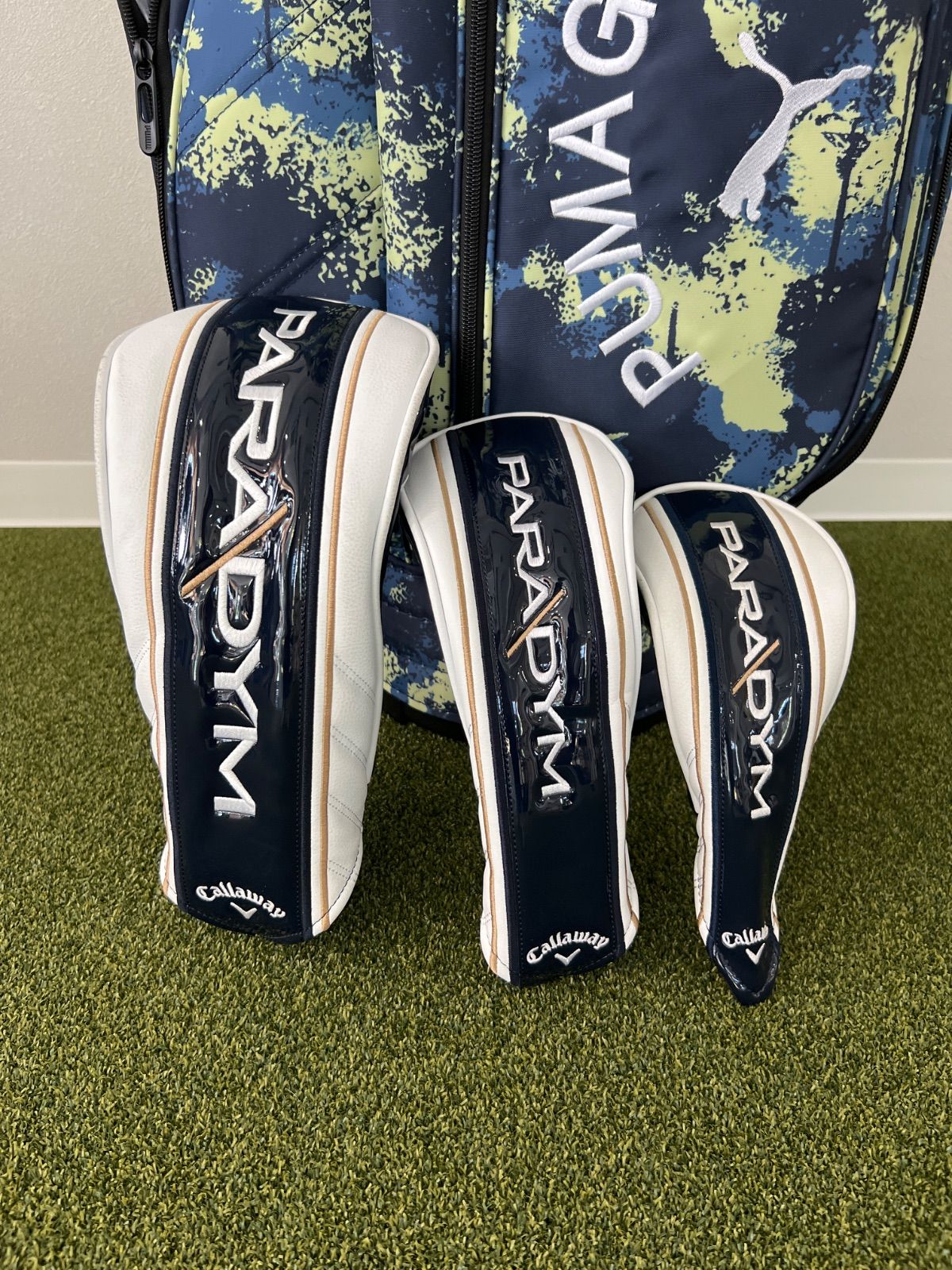 【極美品✨3回使用のみ】Haru ペットドライルーム PD-B10-G 極美品✨3回使用のみ】Haru ペットドライルーム PD-B10-G HOME