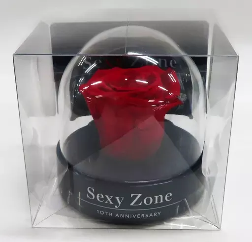 【 SexyZone 】 未開封 ちょっこりさん　10周年　ブルーレイ ローズ SexyZone 】 未開封 ちょっこりさん 10周年 ブルーレイ ローズ