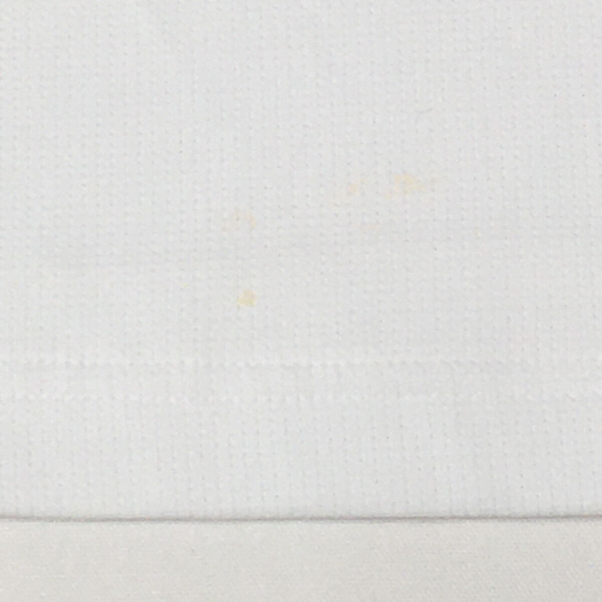 中古 レディース アルチビオ archivio 長袖シャツ 38(M) 白×蛍光
