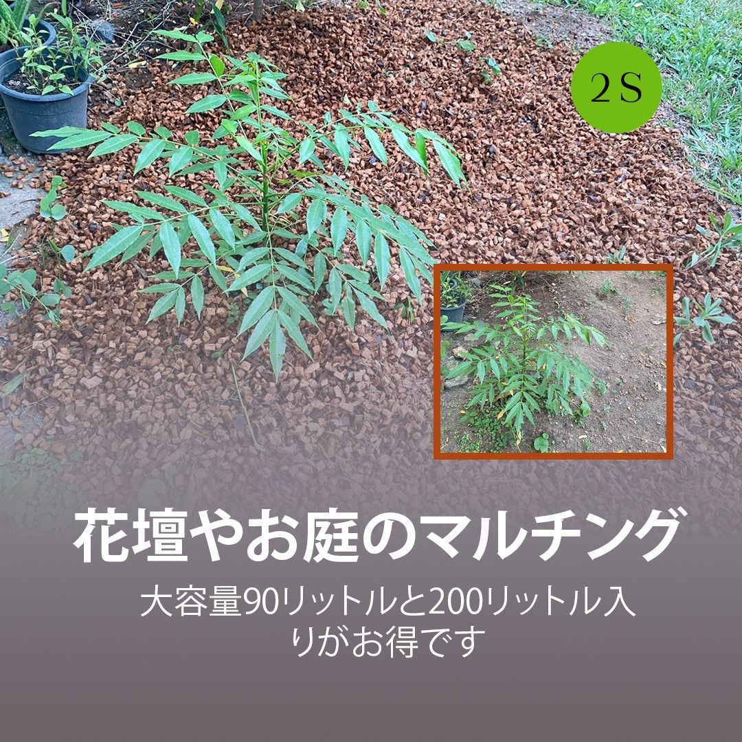 2個入りパック 高品質