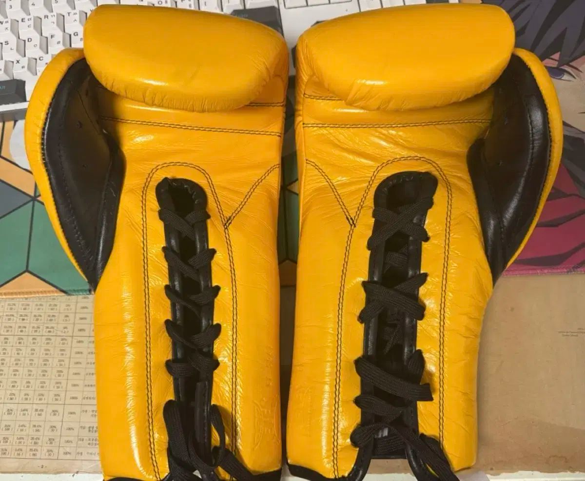ボクシング スパーリングセット