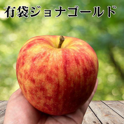 クール りんご 2種セット【特選A】贈答レベル ふじ&ジョナ