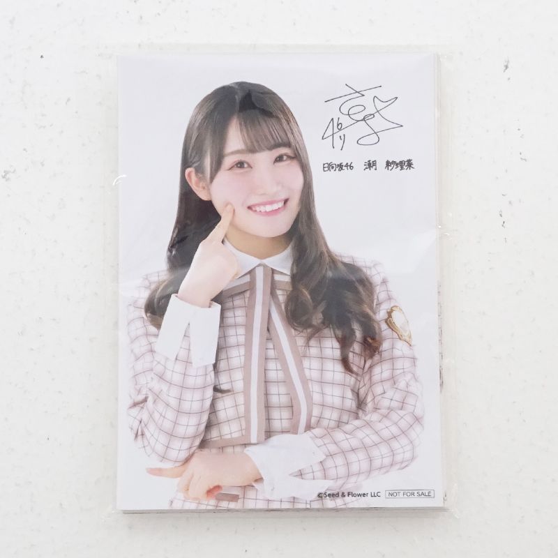 当選証明書付き 潮紗理菜|小坂菜緒|佐々木久美|齊藤京子他