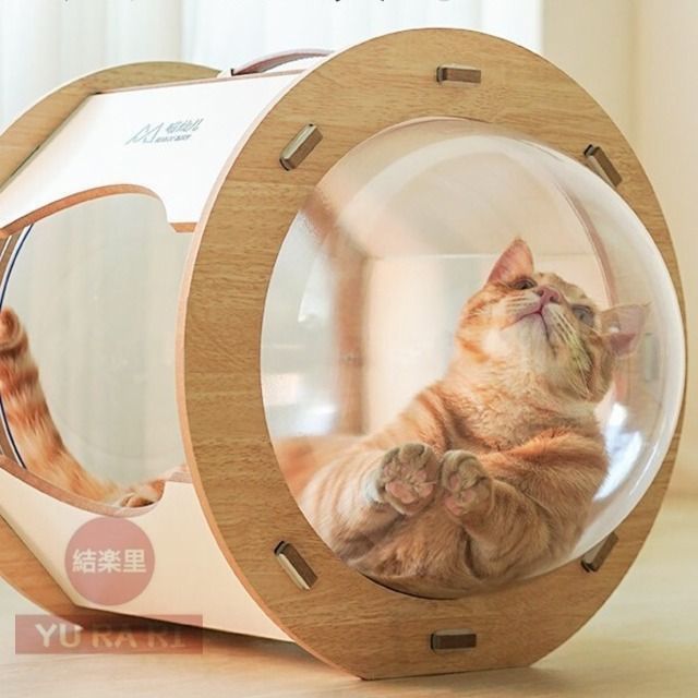 猫ハウス