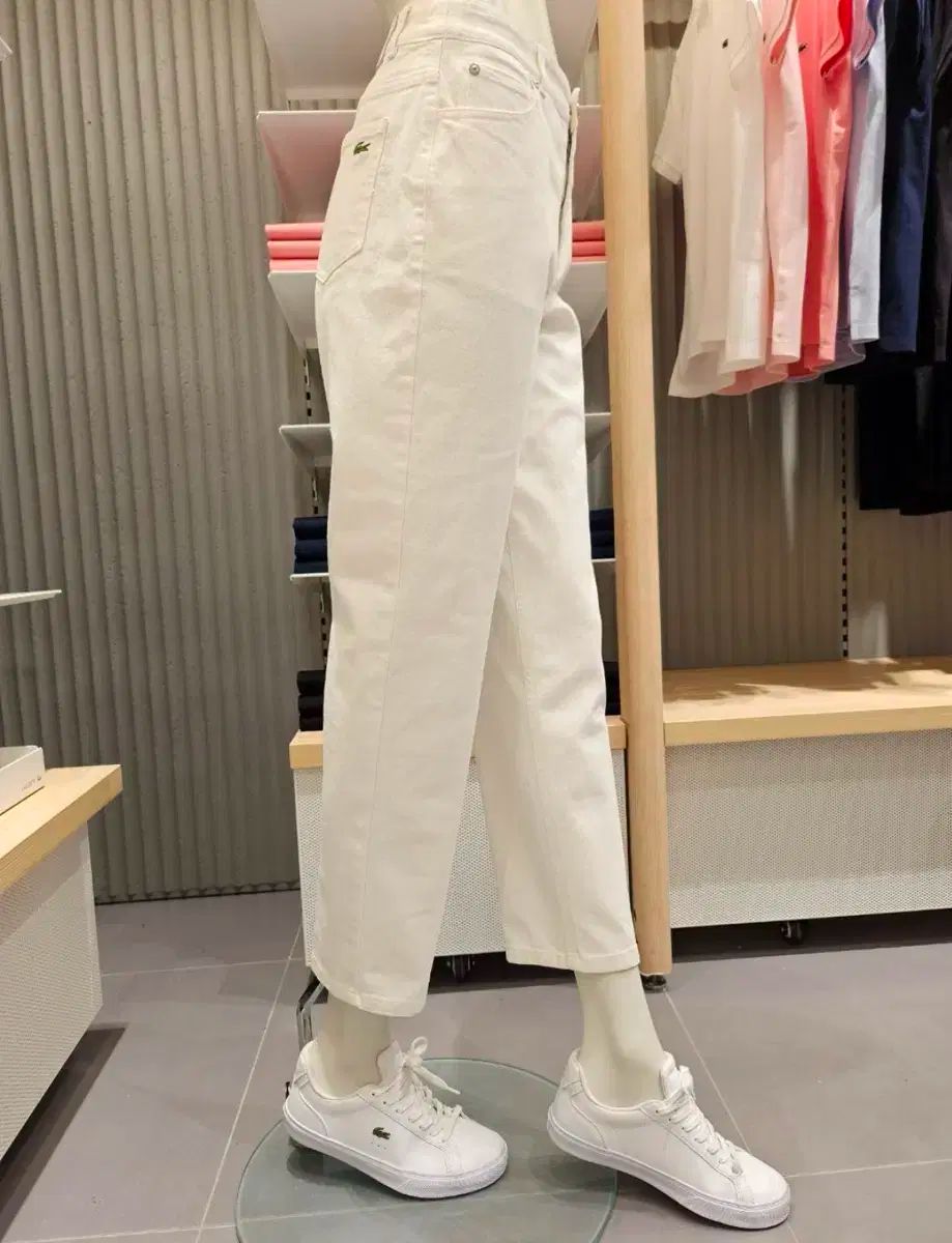 思考囲い 旧枠英語版4枚 MTG 思考囲い 英語版 3枚組 旧枠 TSR BS 334